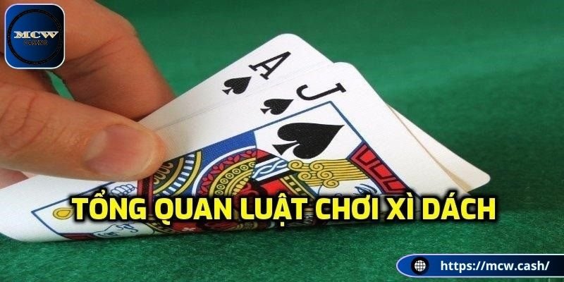 Luôn phải học luật chơi khi tham gia